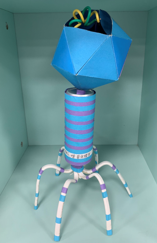 201912261801083168.png